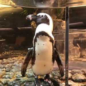 Meet your Posher, Karly